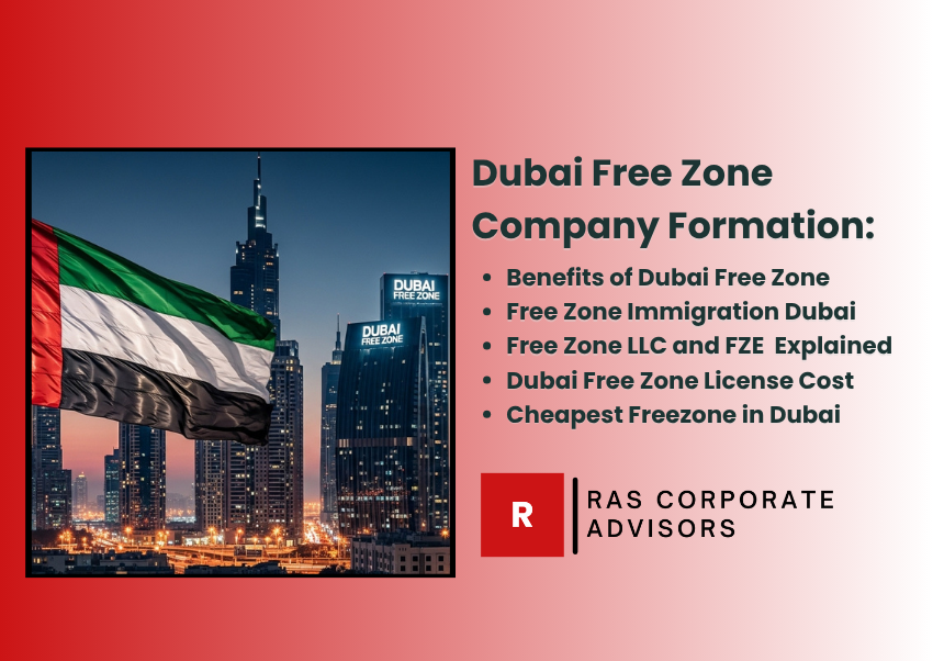 Dubai Free Zone Company Formation: Guide to Business Setup in UAE