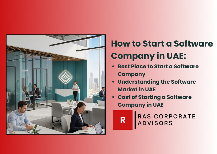 How to Start a Software Company in UAE: The Ultimate 2026 Step-by-Step Guide for Entrepreneurs