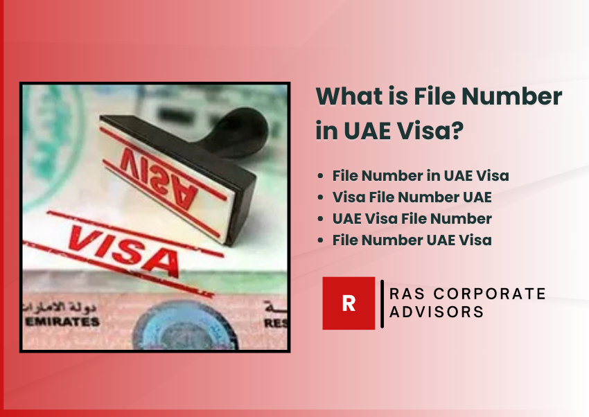 What is File Number in UAE Visa? Everything You Need to Know