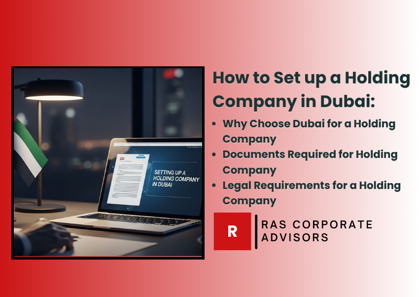 Why Set Up a Holding Company in Dubai?