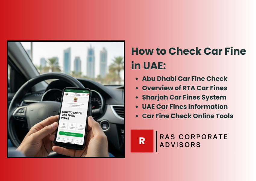 How to Check Car Fine in UAE A Complete Guide About Services