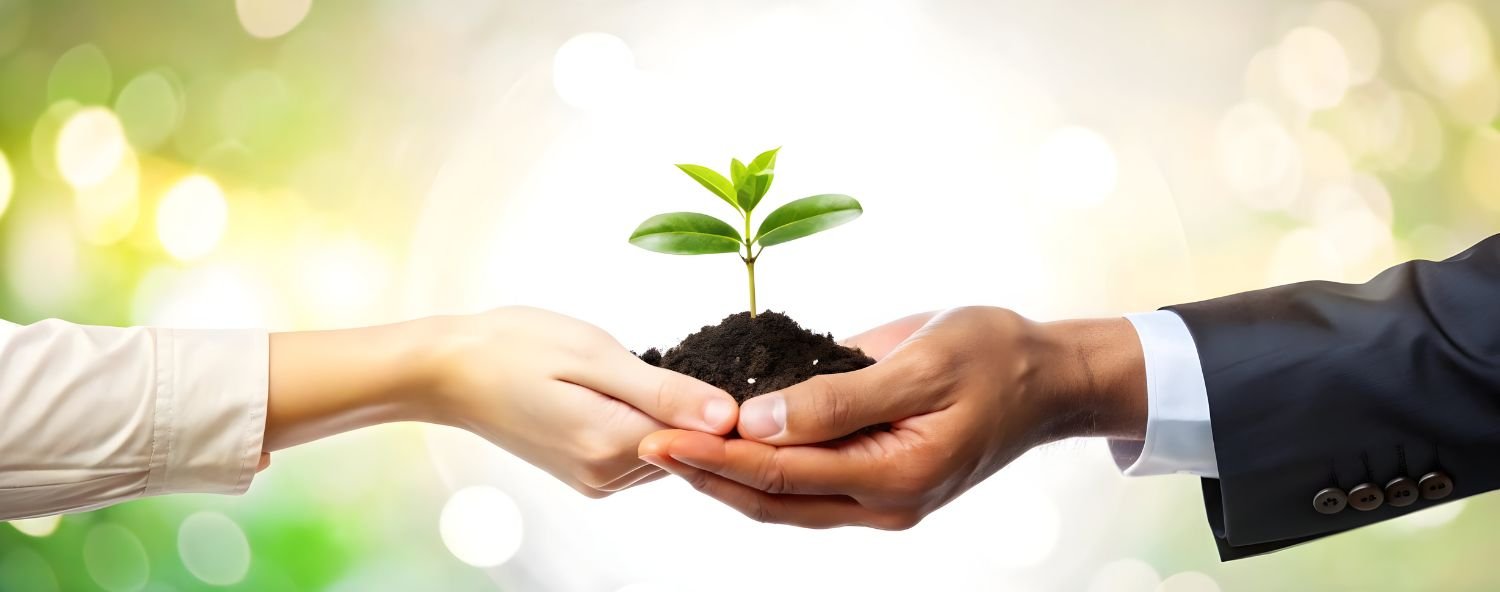 Trust and Foundation Formation